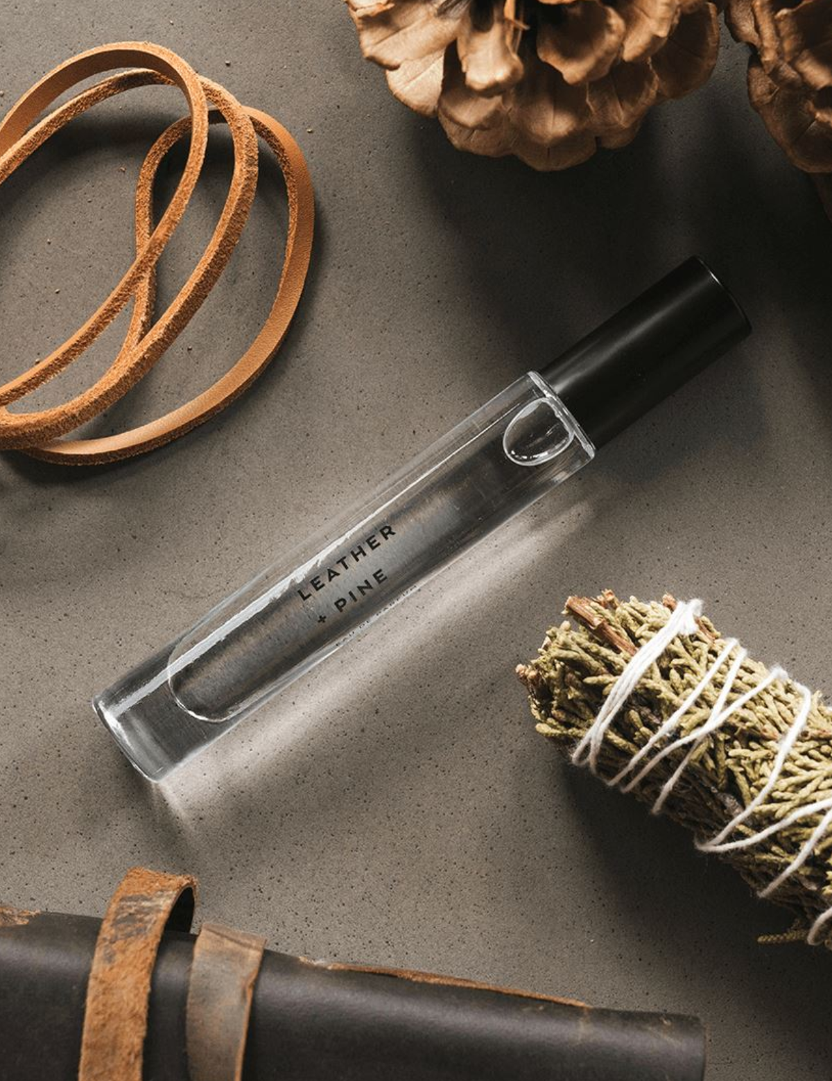  sandalwood) from kempt athens men's clothing store in athens, ga georgia